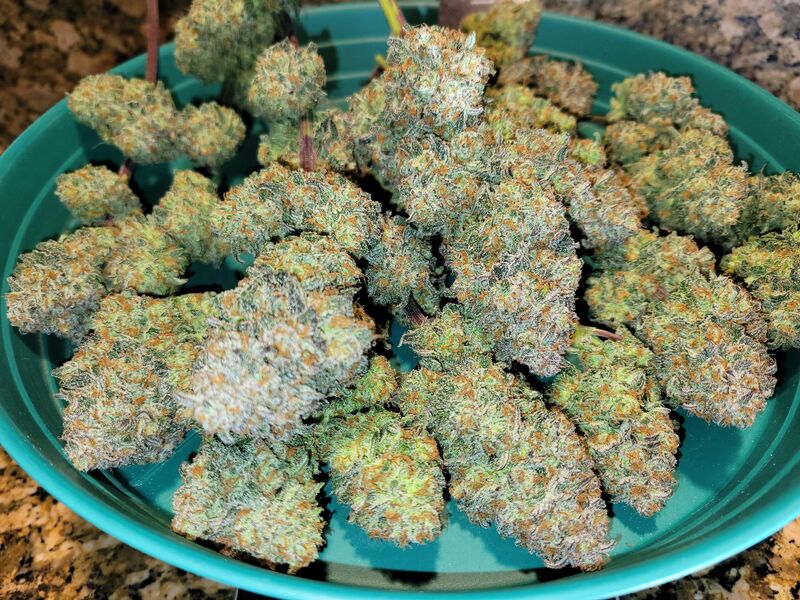 Apple Strudel Auto, Фасовка: 3, изображение 26